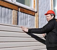 Best Fascia and Soffit Installation  in Oakwood, IL